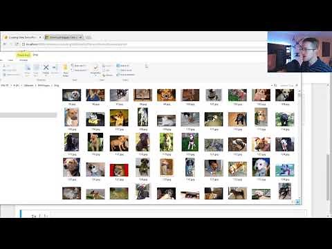 Loading in your own data - Deep Learning basics with Python, TensorFlow and Keras p.2