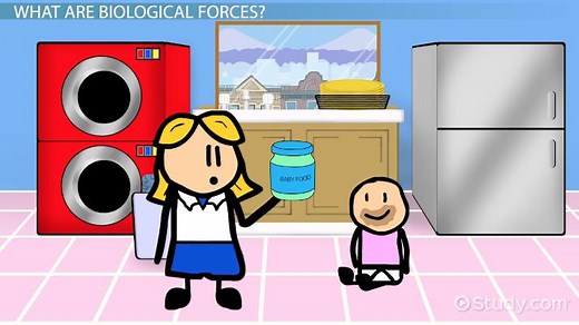 Biological Forces: Definition & Examples