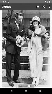 Colorize ImagesをPCで無料ダウンロードしてプレイ