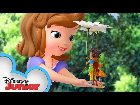 The Littlest Princess | Sofia The First | ‪@disneyjr‬