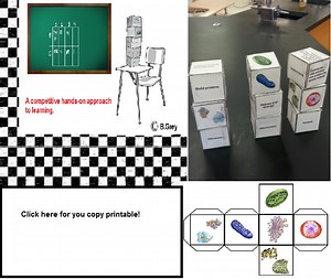 Free Biology Lessons - USBiologyTeaching.com
