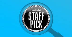 How to Land a Vimeo Staff Pick
