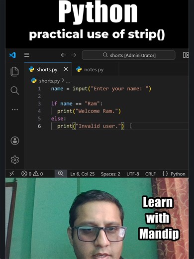 Understanding Python .strip() for User Input