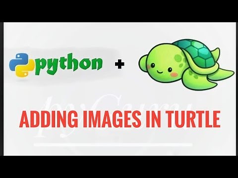 pyTurtle 9 | Adding images to turtle canvas | #pyGuru