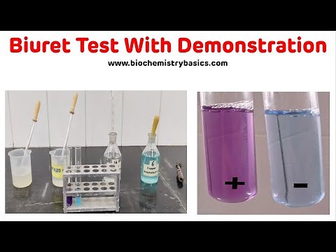 Biuret Test With Demonstration In 5 Minutes || Biuret Test Biochemistry