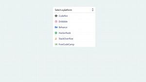 Pure CSS Select Box Examples
