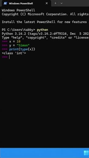Checking Variable Types in Python
