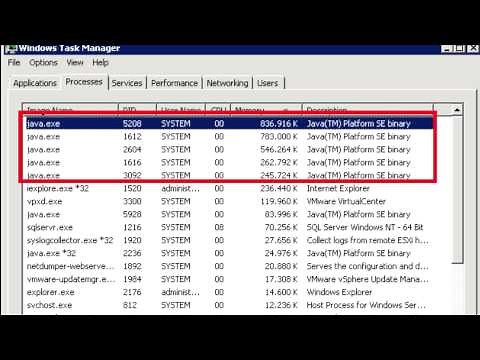 Java (TM) Platform SE Binary