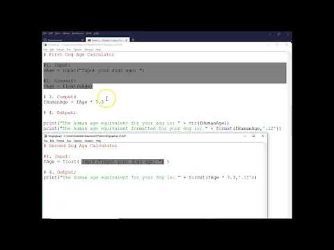 Python Input, Conversion, Calculation and Output Dog Age 2
