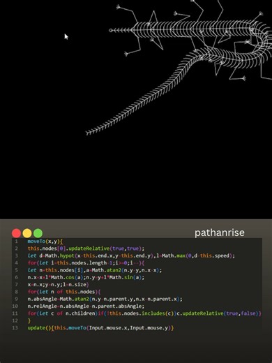 Reptile Project: A Deep Dive into Coding
