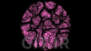 Network Visualization - An Introduction