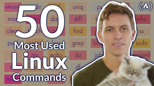 Learn the 50 Most-Used Linux & Terminal Commands