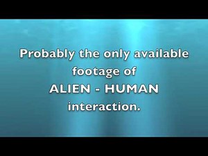 Wow, FINALLY, the real genuine footage of Human - Alien interaction!!!