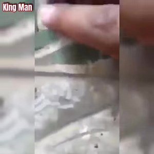 1,500 kilo alien statue found in Mexico Join group watch more: Mysterious Aliens & UFO Disclosure ✔ | Mystery History II