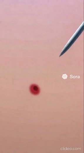 Anime Girl Gets Mind Controlled By a Bee #hypnosis #mindcontrol #anime