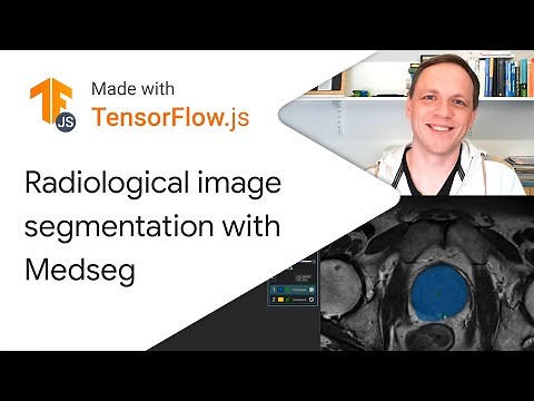 Radiological image segmentation with Medseg - Made with TensorFlow.js