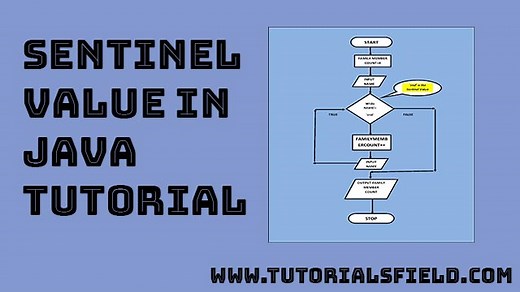 Sentinel Value Java with Examples | Sentinel Loop Java