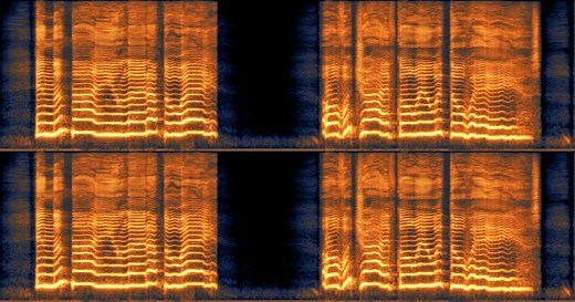Understanding spectrograms