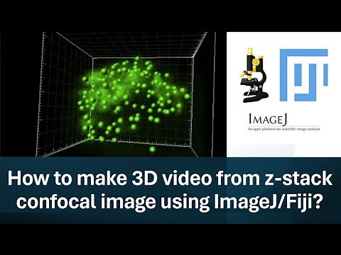 Part-3: How to make 3D video from z-stack confocal image using ImageJ/Fiji?