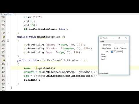 A simple Form with Submit Button in Java Applet (Hindi)