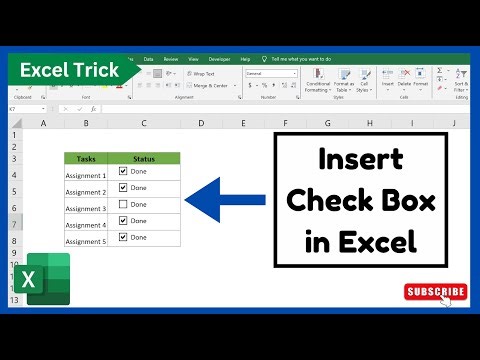 How to insert check box in Excel | Urdu / Hindi