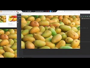 Food Recognition with Python + Google Vision + OpenCV