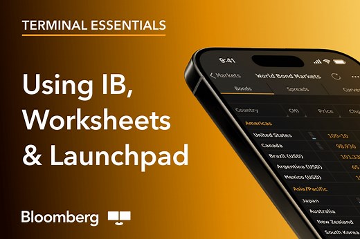 Bloomberg Terminal Essentials: IB, Worksheets & Launchpad | Insights | Bloomberg Professional Services