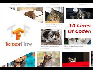 Tensorflow Image Recognition with Python!