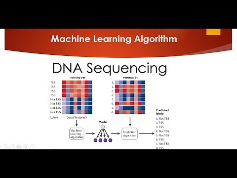 DNA Sequencing Classifier using Machine Learning