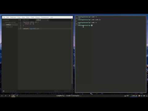 How to Run JavaScript code