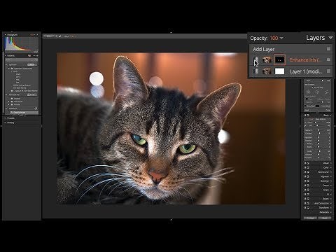 Alien Skin Exposure X4 - 5: Spot Heal & Brush