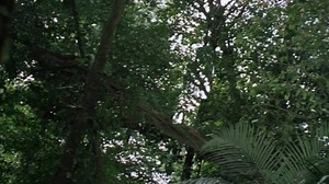 Predator (1987) 720p