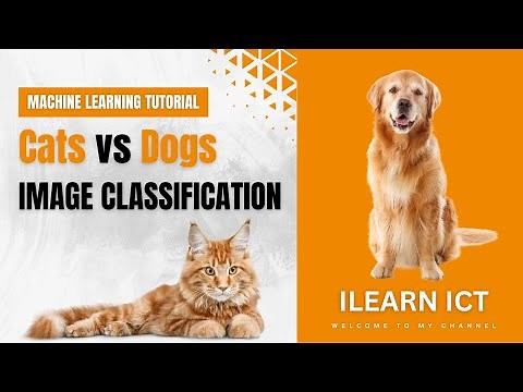 Beginner's Guide: Cat vs Dog Image Classification with Python, TensorFlow and Keras