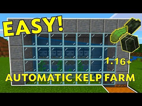 EASIEST Automatic Kelp Farm Tutorial: Minecraft 1.16+