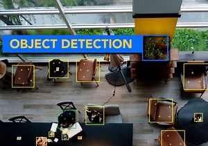 Object Detection in Pytorch | What is Object Detection?