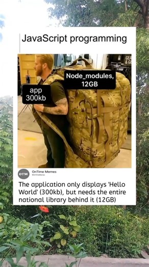 JavaScript programming