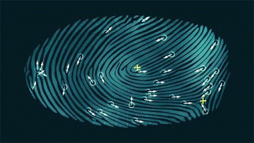 RaspiReader: build your own fingerprint reader - Raspberry Pi