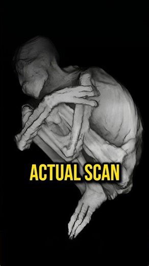 We Just Found Alien Mummies in Peru — And It Changes Everything! #mystery #ancient #joerogan #jre