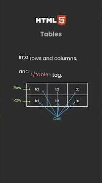 HTML Tables Explained for Beginners