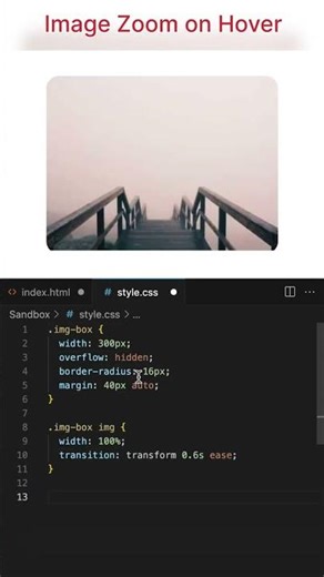 Image Zoom on Hover (Portfolio Favorite) HTML and CSS #shorts