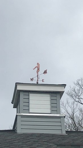 Monty Python on Reels