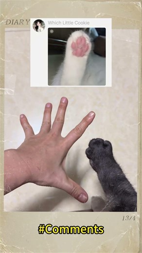 Teaching My Void Cat a New Human Skill! 🐾🖤 Alien Hand Mimic #BlackCat #VoidCat #CatTraining