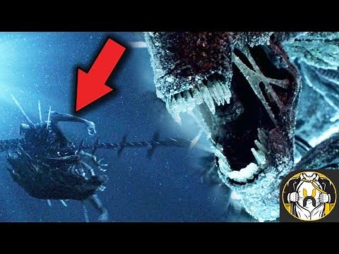 What Happened to the Xenomorph Queen After Alien vs Predator? - Theory