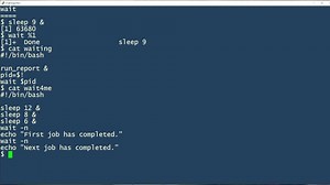 2-Minute Linux Tip: How to use the wait command The wait command allows you to wait for a process running in the background to finish before you move on to the next command. Watch as Sandra Henry-Stocker explains how to use it. #Linux #LinuxTips #LinuxCommands | Network World