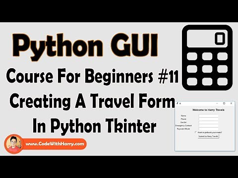 Travel Form Using Checkbuttons & Entry Widget | Python Tkinter GUI Tutorial In Hindi #11