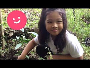 TREE PLANTING | Performance Task
