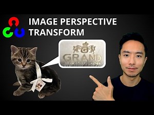 OpenCV Python Image Perspective Transform