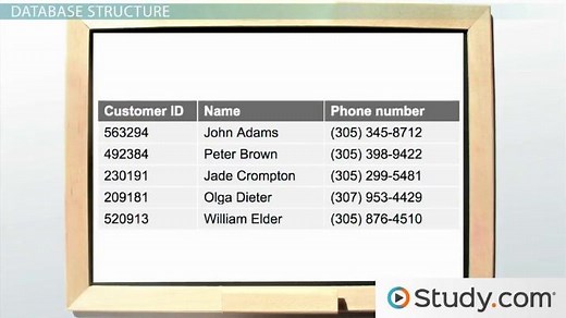 Database Concepts and Structures: The Elements That Make Up a Database