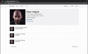 The Flask Mega-Tutorial, Part I: Hello, World!