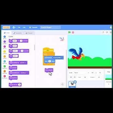 تعلم البرمجة باستخدام Scratch: برنامج تعليمي للمبتدئين